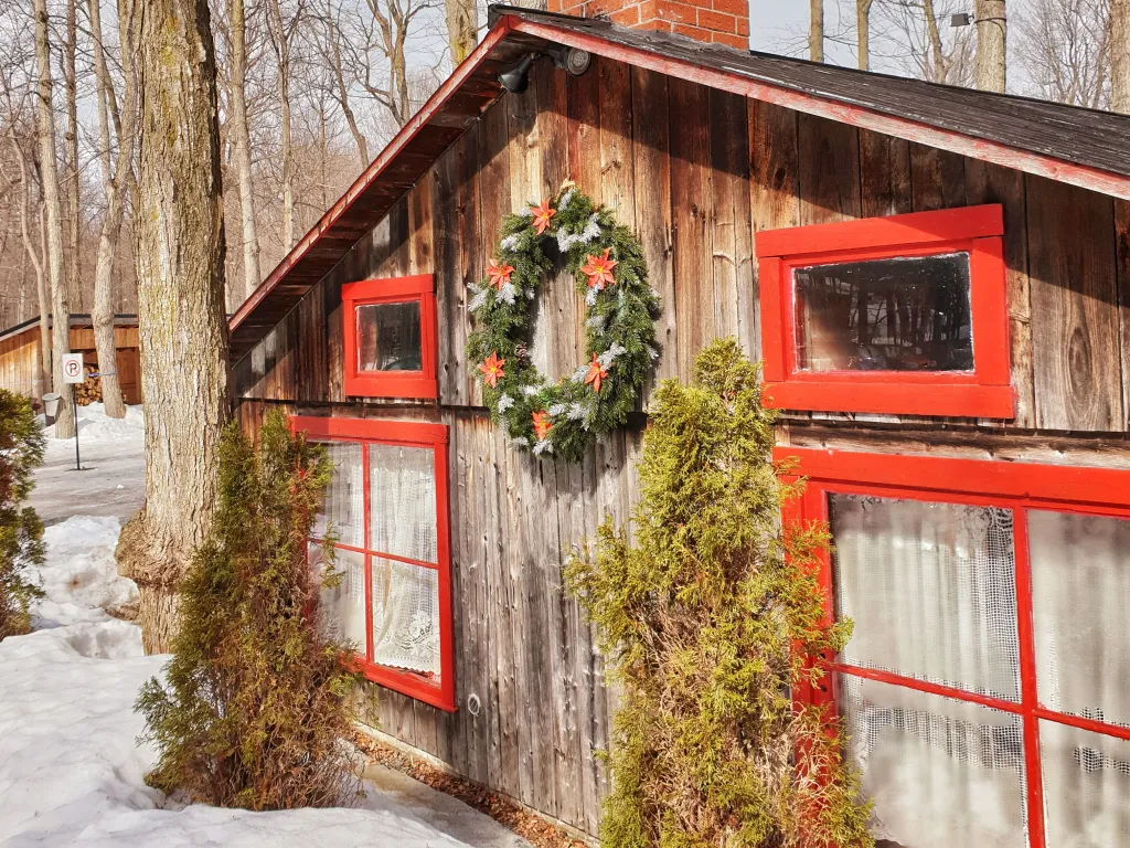 Sugar rush at a sugar shack