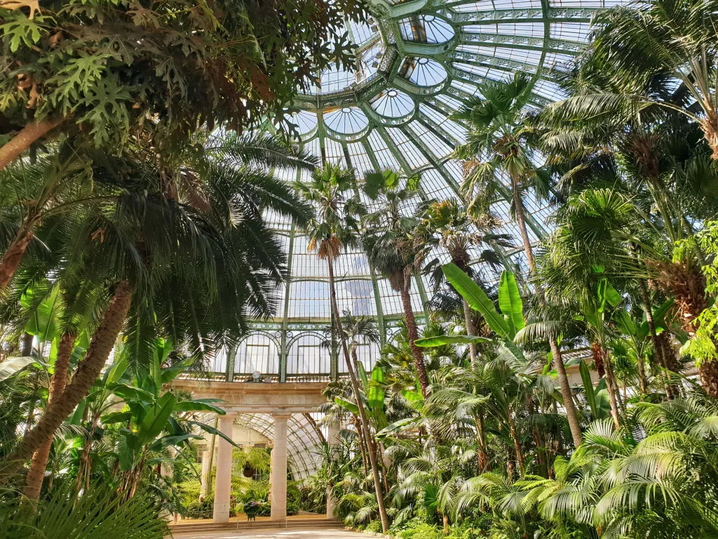 Visiting the wonderful Royal Greenhouses of Laeken, Belgium