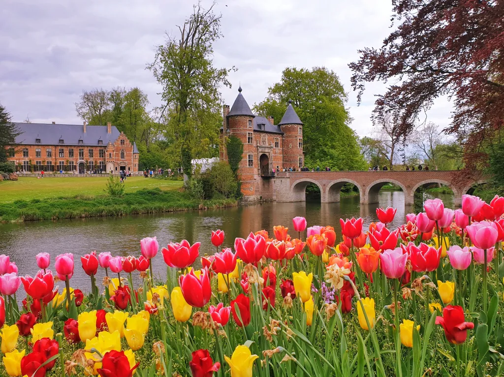 Celebrating spring: the Floralia Brussels flower show