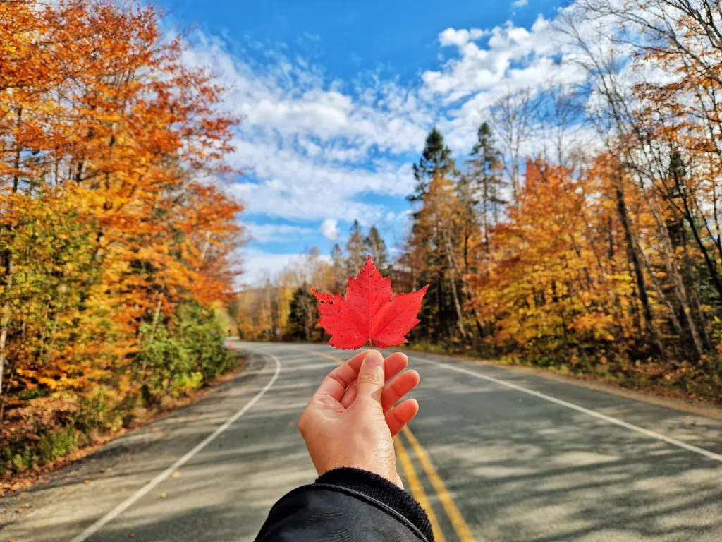 A peaceful weekend in Mauricie, Quebec