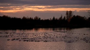 How to Plan a Cozy Fall Weekend in Quebec’s Eastern Townships