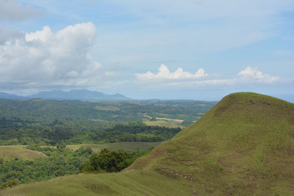 A breathtaking landscape of rolling green hills and dense forests under a bright sky