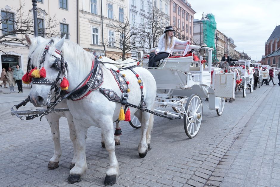 A horse-drawn carriage offering a scenic ride through the historic streets of Kraków, Poland