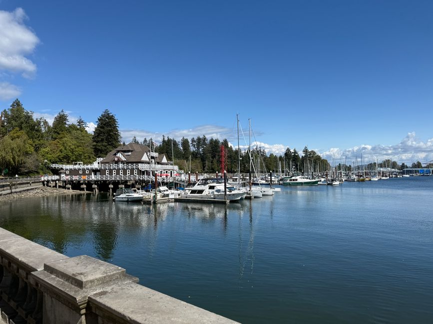 A serene view of boats docked at a Vancouver marina under a clear blue sky