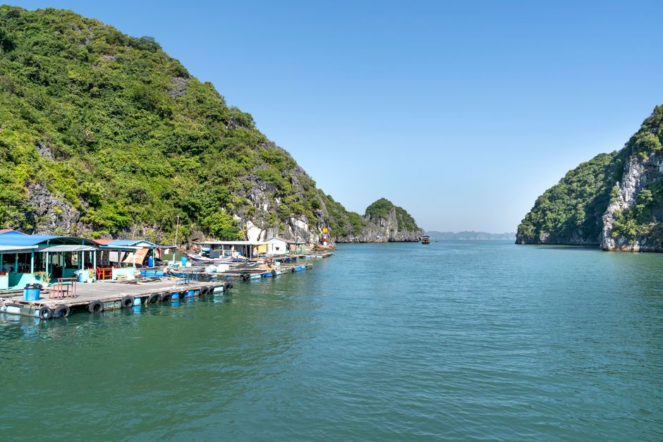 A tranquil fishing village along a vibrant coastline surrounded by lush greenery under a clear blue sky