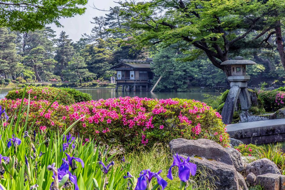Beautiful spring scene in a Japanese garden with azaleas and a tranquil pond