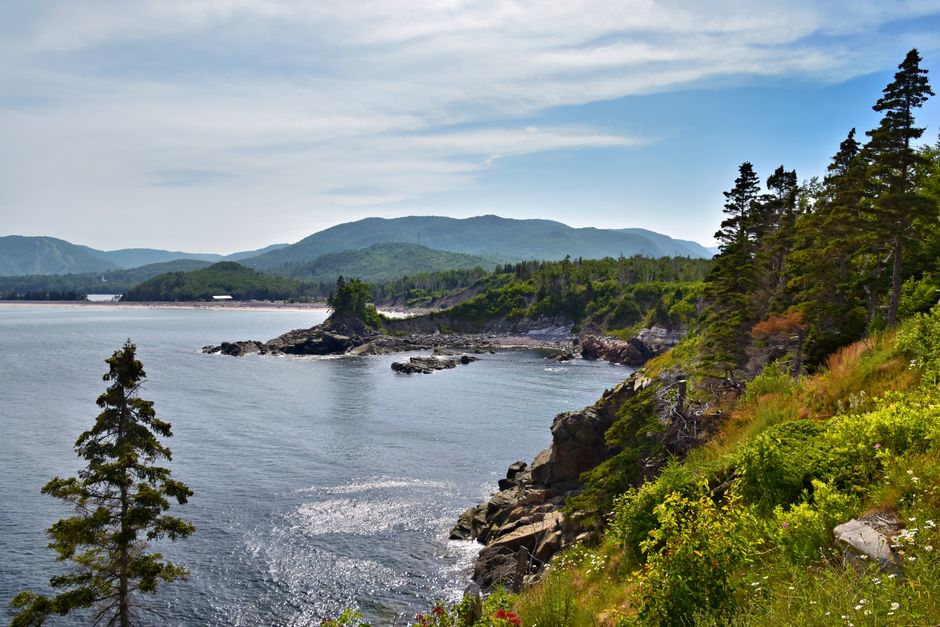 Beautiful summer view of rugged Nova Scotia coastline with lush greenery and ocean