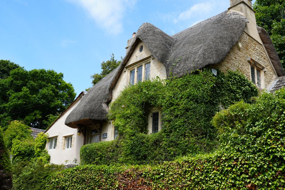 Beautiful thatched cottage surrounded by lush greenery in the English countryside