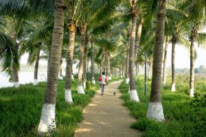 Best Hotels Walking Distance To Disneyland: Walkable Disneyland Hotels: Best Picks for Families
