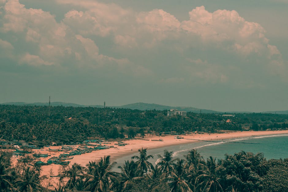 A tropical beach with palm trees, clear skies, and calm sea, perfect for a summer getaway.