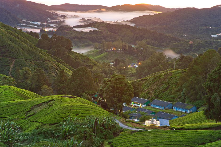 Beautiful aerial view of a lush green valley with mist and hills at sunrise, capturing the serene landscape.