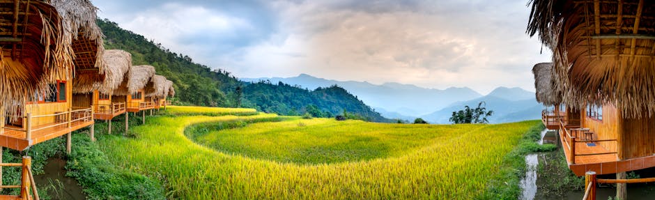 Small village with houses near trees and hills on green grass under bright sky in daytime