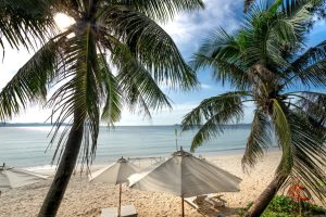 Caribbean All-Inclusive Resorts Families Teenagers: 7 Caribbean All-Inclusive Resorts That Actually Work for Families With Teenagers