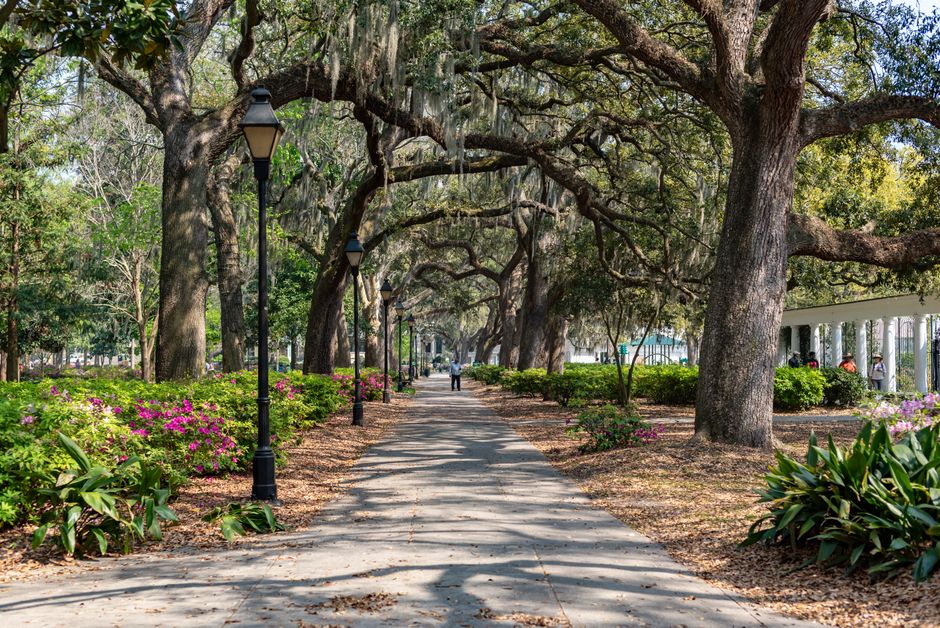 Charleston and Savannah: A Southern Road Trip