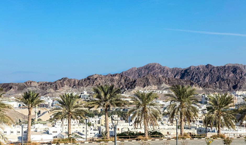 Desert mountains and palm trees under a vibrant blue sky