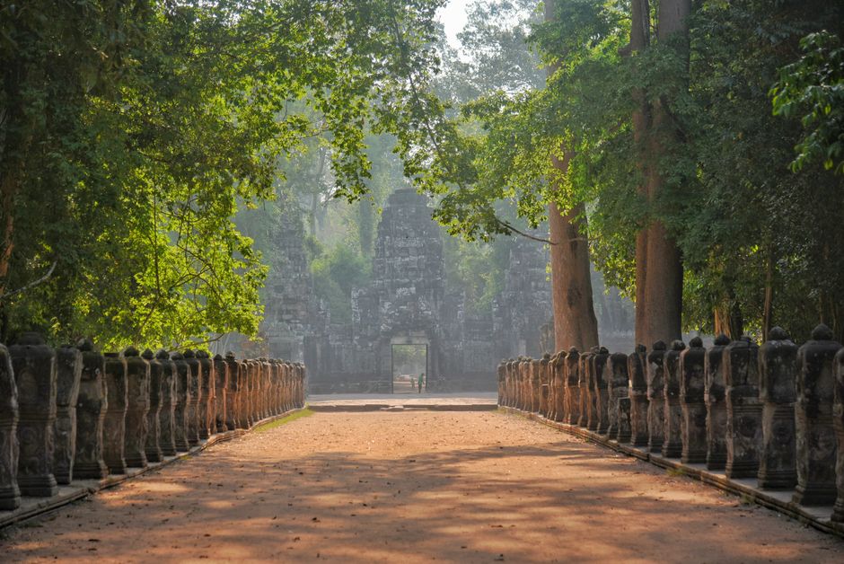 Discover the serene beauty of Angkor Wat's ancient stone pathway illuminated by gentle sunlight