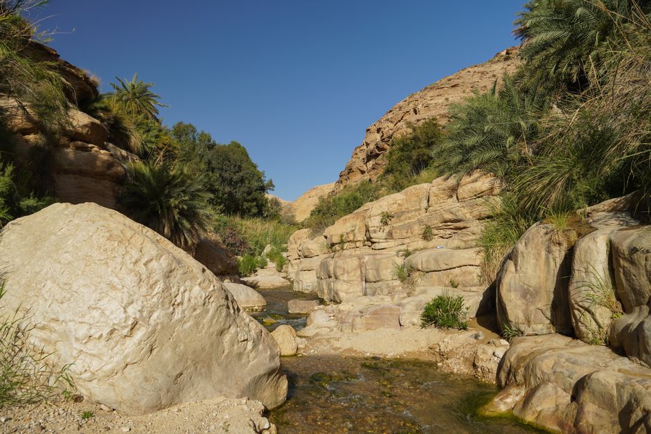 Oman: Muscat, Wadis and Desert Camps
