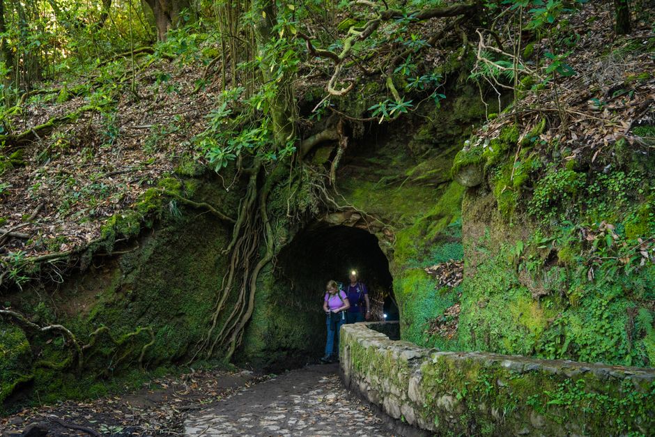 Madeira’s Levada Walks for Beginners