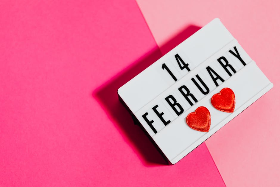 Lightbox display showing '14 February' with hearts on pink background.