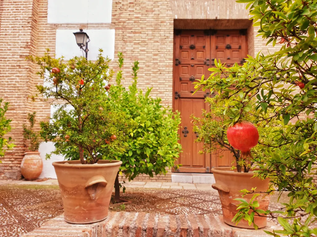 Exploring Granada