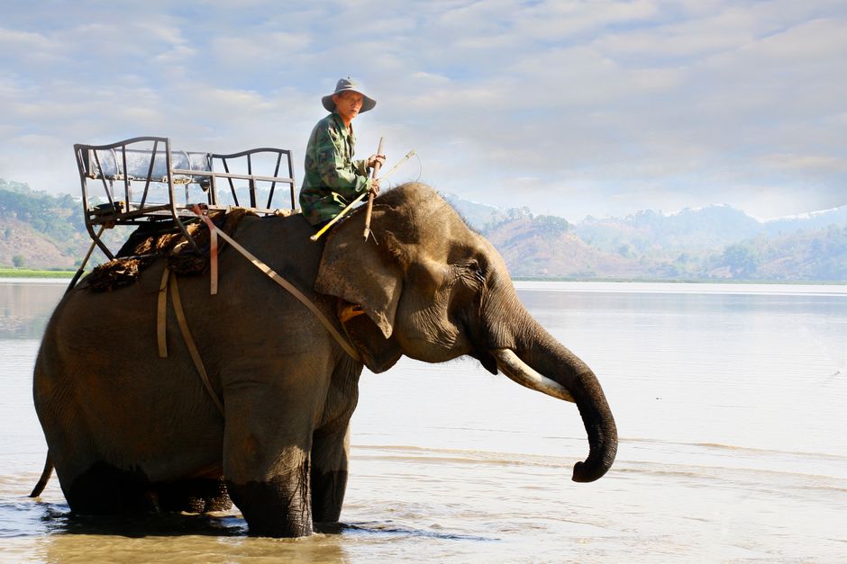A person rides an elephant across a serene river with scenic mountain views.