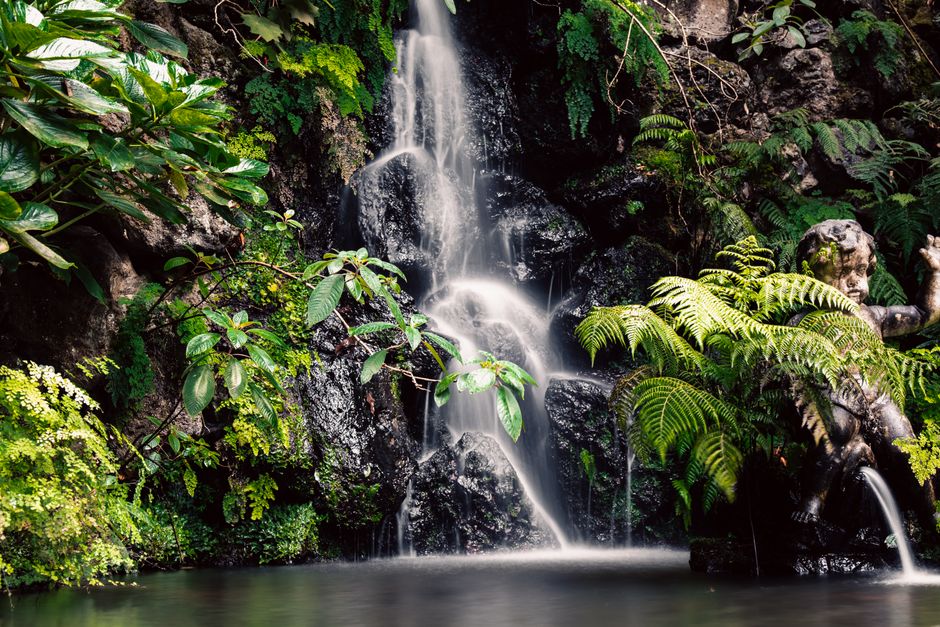Lush greenery surrounds a tranquil waterfall in Madeira, Portugal, creating a serene and natural setting