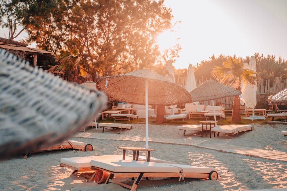 Serene beach resort with sun loungers and umbrellas in golden sunlight, surrounded by palm trees.
