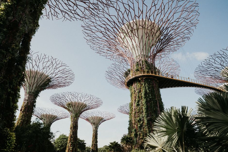 Singapore for First-Timers: Neighbourhoods and Gardens