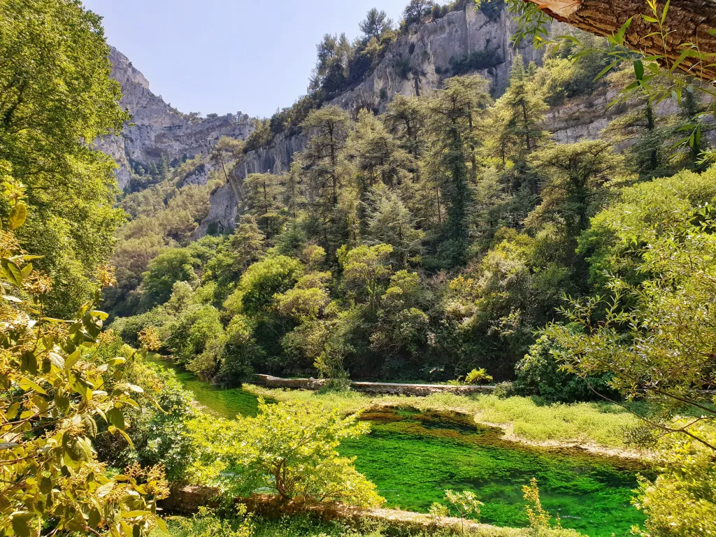 Cooling down in Fontaine-de-Vaucluse