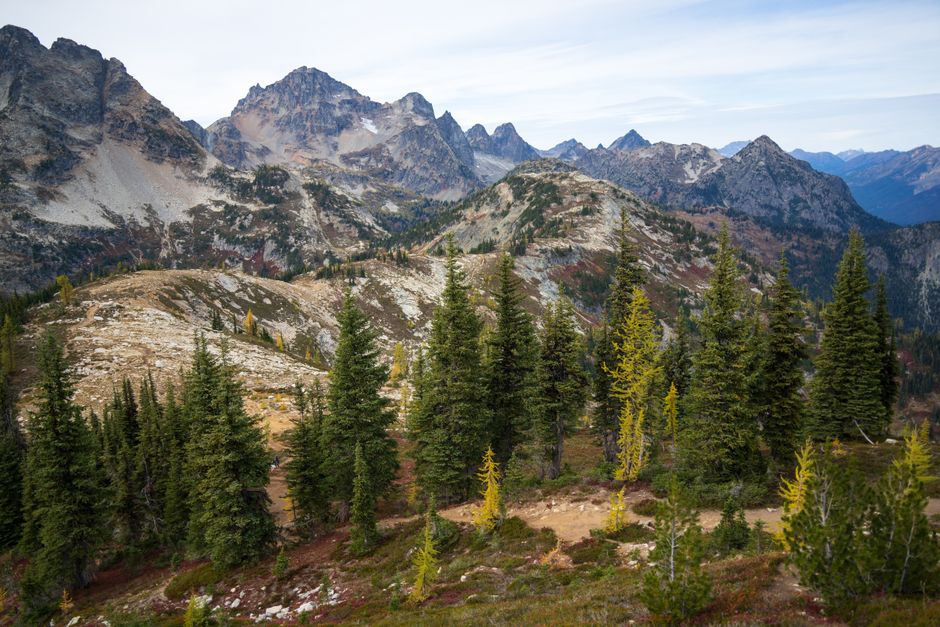Scenic view of mountains and larch trees in North Cascades, Washington.