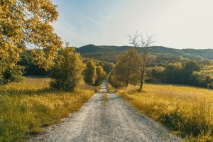 Pet-Friendly Accommodations Road Trips Usa: Pet-Friendly Lodging Rules That Actually Matter on U.S. Road Trips