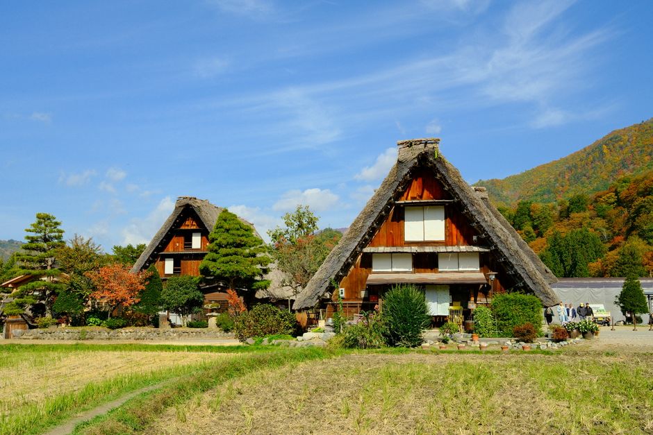 Picturesque autumn scene of Gassho-Zukuri houses in Shirakawa, Gifu, Japan, showcasing traditional Japanese ar