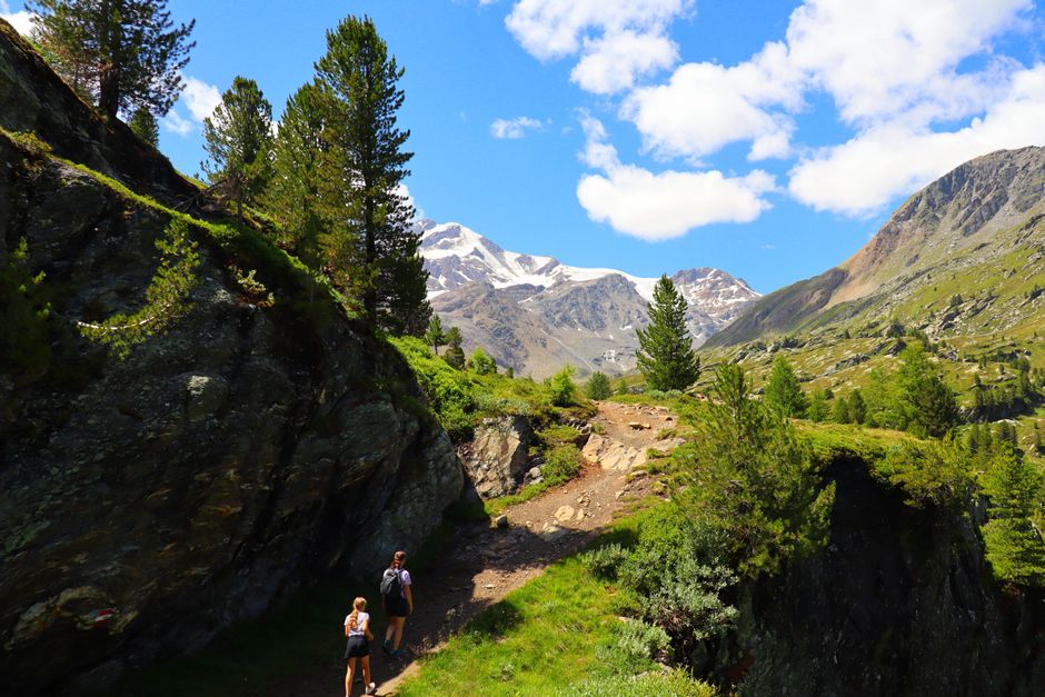 Scenic mountain trail with hikers, lush greenery, and a vibrant landscape under a clear blue sky