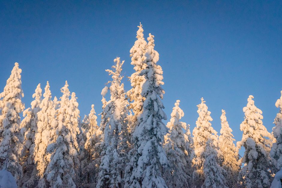 Lapland in Winter: Snow, Saunas and Northern Skies