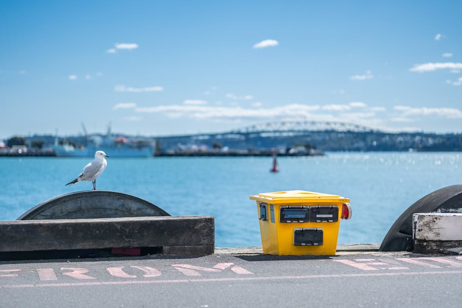 New Zealand Month-by-Month: When to Go for Each Type of Trip