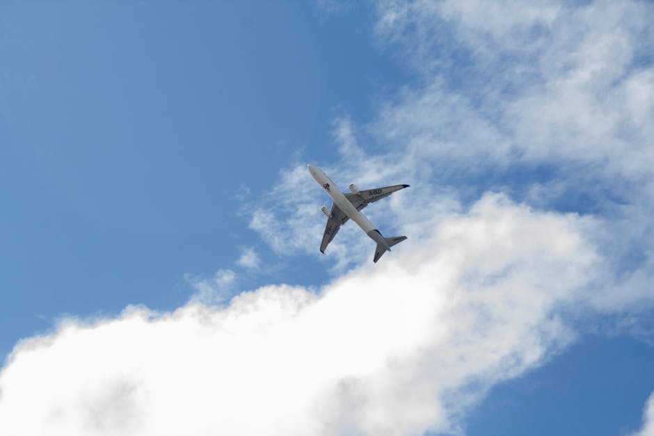 Travel travel
