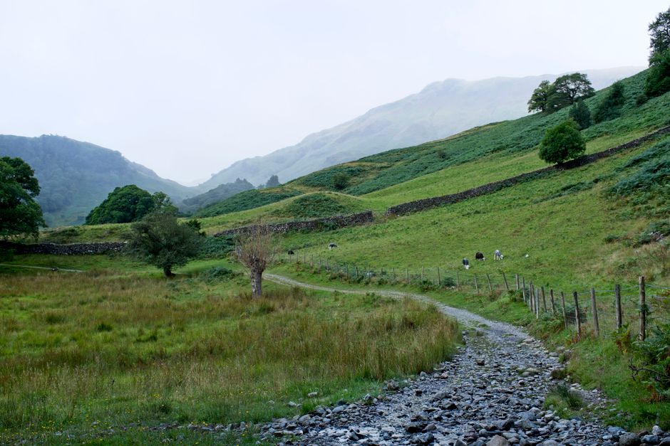 Tranquil stone path through rolling hills and greenery in the Lake District