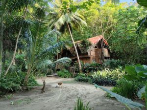 Treehouse Stays in Costa Rica Worth Booking in 2026