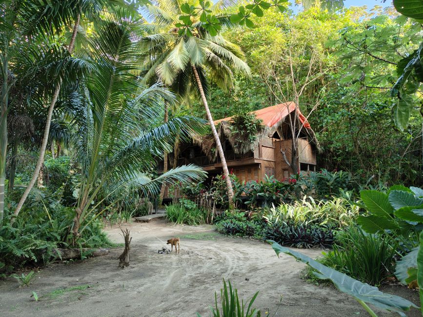 Treehouse Stays in Costa Rica Worth Booking in 2026
